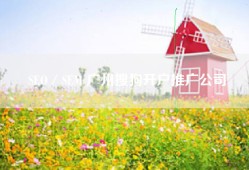 SEO／SEM 广州搜狗开户推广公司