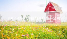 SEO／SEM 广州搜狗开户推广公司