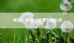 虎园：家有“猛虎”初长成
