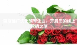百度推广优化领军企业，开启您的线上营销之旅