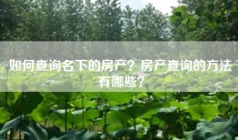 如何查询名下的房产？房产查询的方法有哪些？