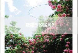 野猪很凶猛吗？