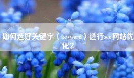如何选好关键字（keyword）进行seo网站优化？