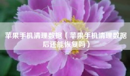 苹果手机清理数据（苹果手机清理数据后还能恢复吗）