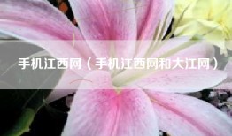 手机江西网（手机江西网和大江网）
