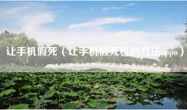 让手机假死（让手机假死机的方法oppo）