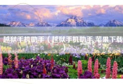 越狱手机助手（越狱手机助手 苹果下载）
