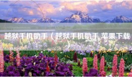 越狱手机助手（越狱手机助手 苹果下载）