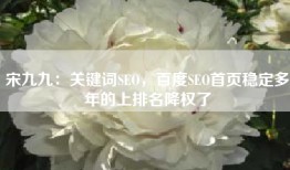 宋九九：关键词SEO，百度SEO首页稳定多年的上排名降权了