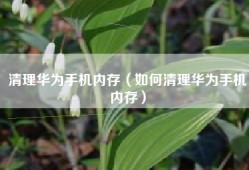 清理华为手机内存（如何清理华为手机内存）