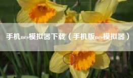 手机nes模拟器下载（手机版nes模拟器）