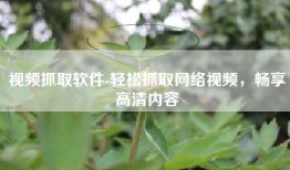 视频抓取软件-轻松抓取网络视频，畅享高清内容