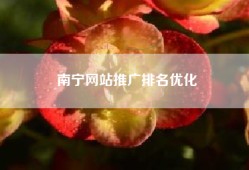 南宁网站推广排名优化