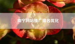 南宁网站推广排名优化