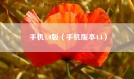 手机4.0版（手机版本4.4）