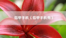 指甲手机（指甲手机壳）