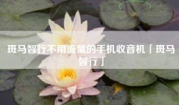 斑马智行不用流量的手机收音机「斑马智行」