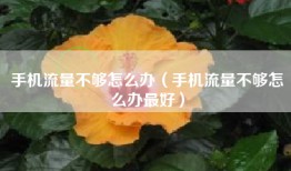 手机流量不够怎么办（手机流量不够怎么办最好）
