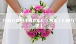 街霸方块格斗游戏单机手机版「街霸方块」