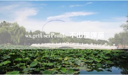 wx.getUserProfile 不出现弹窗