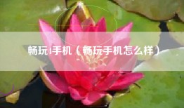 畅玩4手机（畅玩手机怎么样）