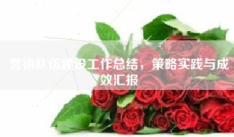 营销队伍建设工作总结，策略实践与成效汇报