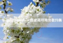 Keepalived+HAProxy 搭建高可用负载均衡
