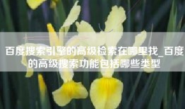 百度搜索引擎的高级检索在哪里找_百度的高级搜索功能包括哪些类型
