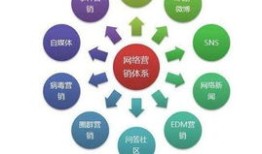 百度蜘蛛池价格：蜘蛛池利用K站，揭秘高效网络营销策略