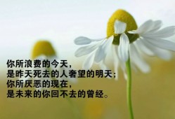 2024最新句子创作指南，灵感与趋势展望