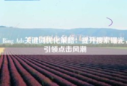 Bing Ads关键词优化策略：提升搜索曝光，引领点击风潮