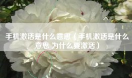 手机激活是什么意思（手机激活是什么意思 为什么要激活）