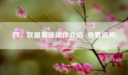四、联盟基础操作介绍 (查看视频)