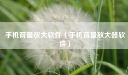 手机音量放大软件（手机音量放大器软件）