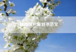 网络推广策划书范文