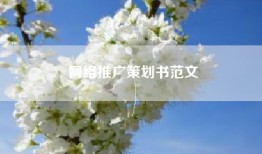 网络推广策划书范文