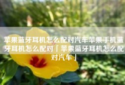 苹果蓝牙耳机怎么配对汽车苹果手机蓝牙耳机怎么配对「苹果蓝牙耳机怎么配对汽车」