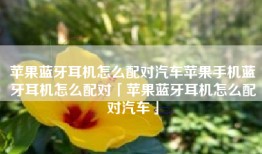 苹果蓝牙耳机怎么配对汽车苹果手机蓝牙耳机怎么配对「苹果蓝牙耳机怎么配对汽车」