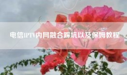 电信IPTV内网融合踩坑以及保姆教程