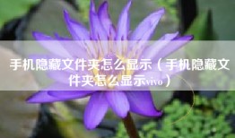 手机隐藏文件夹怎么显示（手机隐藏文件夹怎么显示vivo）