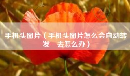 手机头图片（手机头图片怎么会自动转发岀去怎么办）
