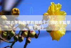 三国志手机版单机游戏（三国志手游单机下载）