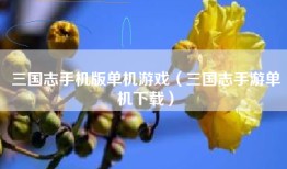三国志手机版单机游戏（三国志手游单机下载）