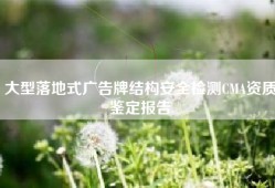 大型落地式广告牌结构安全检测CMA资质鉴定报告