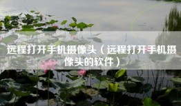 远程打开手机摄像头（远程打开手机摄像头的软件）