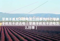 苹果手机充不进电怎么回事为什么苹果手机充不进去电「苹果手机充不进电怎么回事」