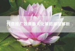 付费推广效果最大化策略深度解析