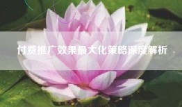 付费推广效果最大化策略深度解析