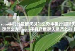 oppo手机音量键失灵怎么办手机音量键失灵怎么办「oppo手机音量键失灵怎么办」