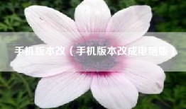 手机版本改（手机版本改成电脑版）